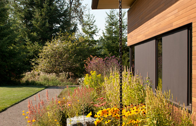 Exterior back entry view with rain chain at Olympia Prairie Home, designed by a sustainable home architect firm specializing in eco-friendly homes