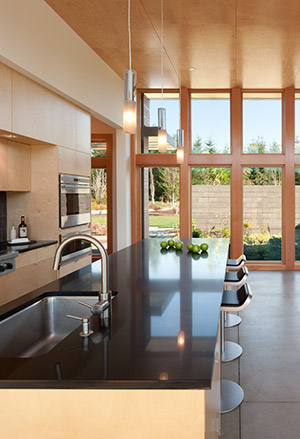 Olympia Prairie Home, Interior, Kitchen